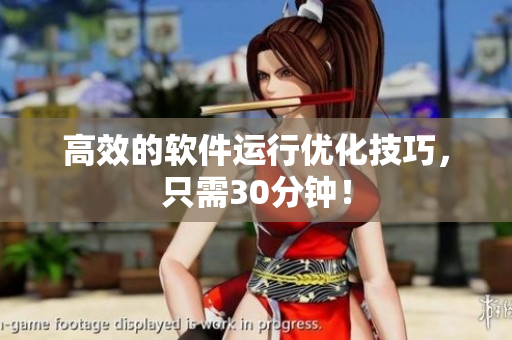 高效的软件运行优化技巧，只需30分钟！