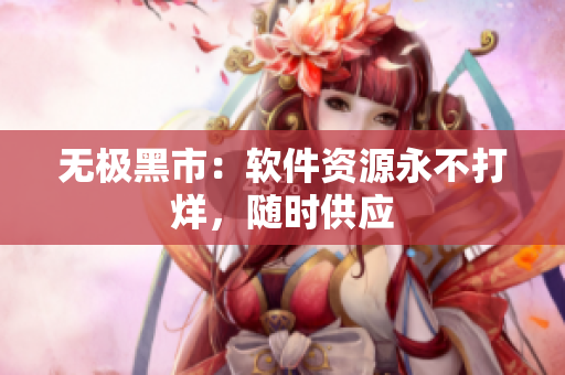 无极黑市：软件资源永不打烊，随时供应