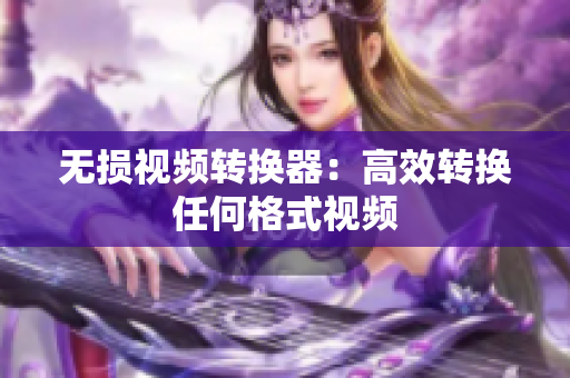 无损视频转换器：高效转换任何格式视频