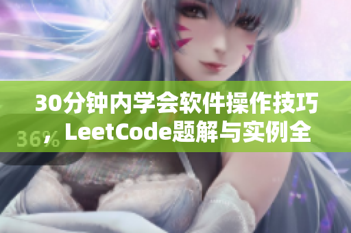 30分钟内学会软件操作技巧，LeetCode题解与实例全掌握