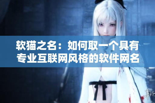 软猫之名：如何取一个具有专业互联网风格的软件网名