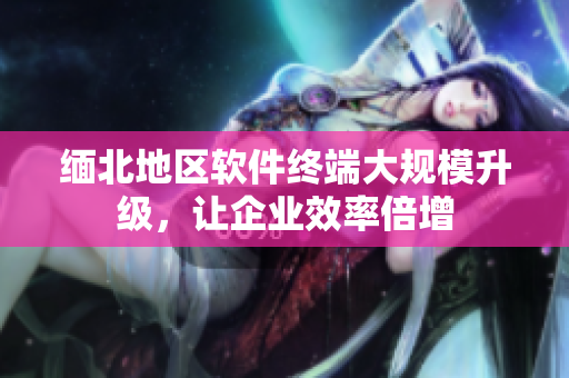 缅北地区软件终端大规模升级，让企业效率倍增