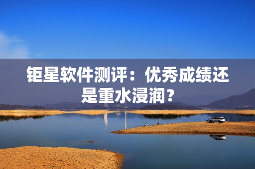 钜星软件测评：优秀成绩还是重水浸润？