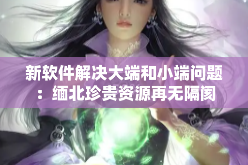 新软件解决大端和小端问题：缅北珍贵资源再无隔阂