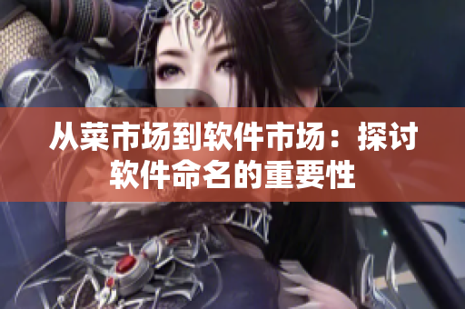从菜市场到软件市场：探讨软件命名的重要性