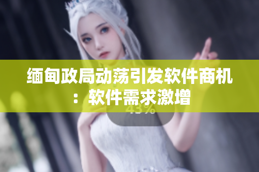 缅甸政局动荡引发软件商机：软件需求激增