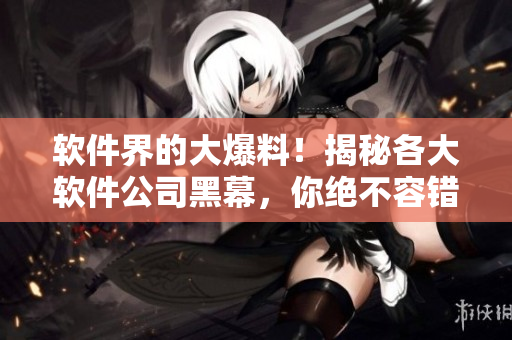 软件界的大爆料！揭秘各大软件公司黑幕，你绝不容错过！