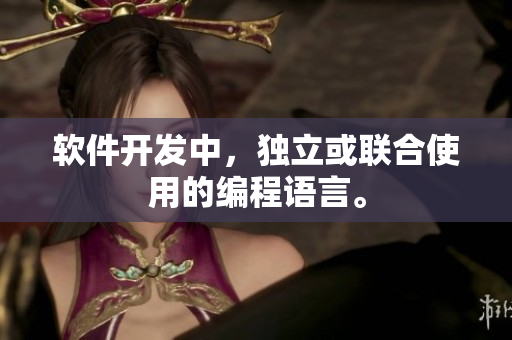 软件开发中，独立或联合使用的编程语言。