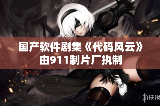 国产软件剧集《代码风云》由911制片厂执制