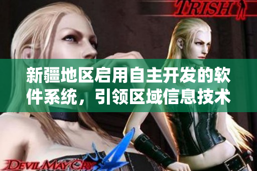 新疆地区启用自主开发的软件系统，引领区域信息技术发展