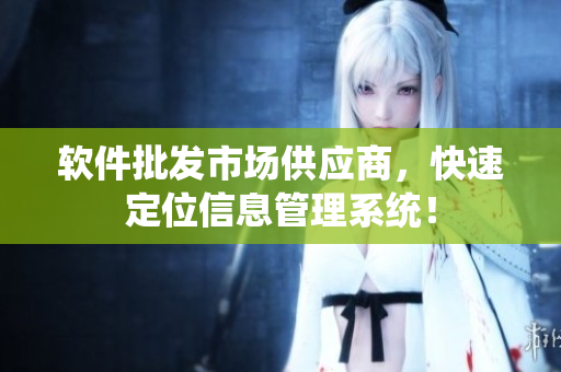 软件批发市场供应商，快速定位信息管理系统！