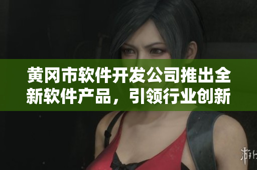 黄冈市软件开发公司推出全新软件产品，引领行业创新