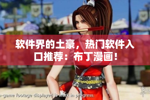 软件界的土豪，热门软件入口推荐：布丁漫画！