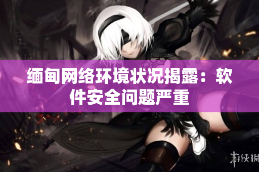 缅甸网络环境状况揭露：软件安全问题严重
