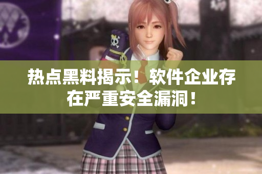 热点黑料揭示！软件企业存在严重安全漏洞！