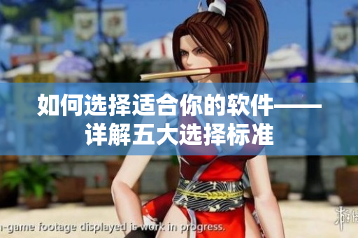 如何选择适合你的软件——详解五大选择标准