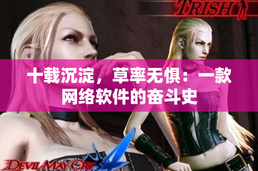 十载沉淀，草率无惧：一款网络软件的奋斗史