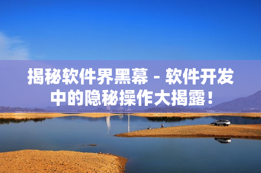 揭秘软件界黑幕 - 软件开发中的隐秘操作大揭露！