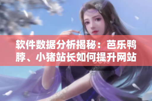 软件数据分析揭秘：芭乐鸭脖、小猪站长如何提升网站流量