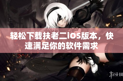 轻松下载扶老二iOS版本，快速满足你的软件需求