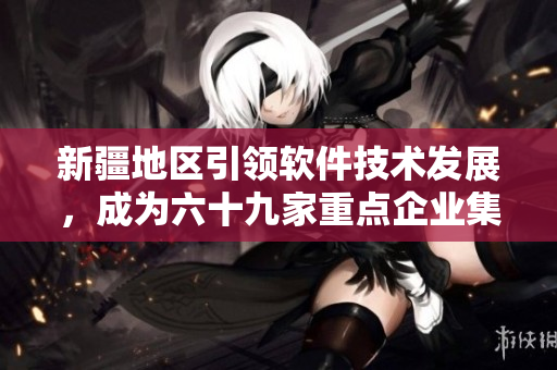 新疆地区引领软件技术发展，成为六十九家重点企业集聚区