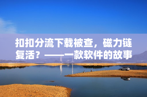 扣扣分流下载被查，磁力链复活？——一款软件的故事