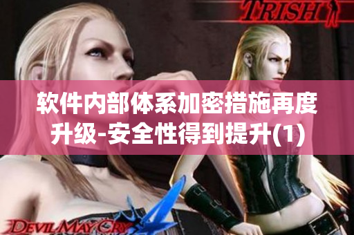 软件内部体系加密措施再度升级-安全性得到提升(1)