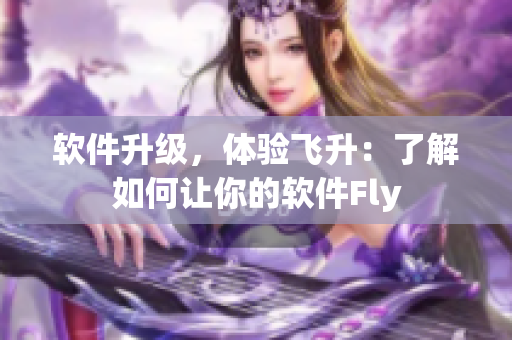软件升级，体验飞升：了解如何让你的软件Fly