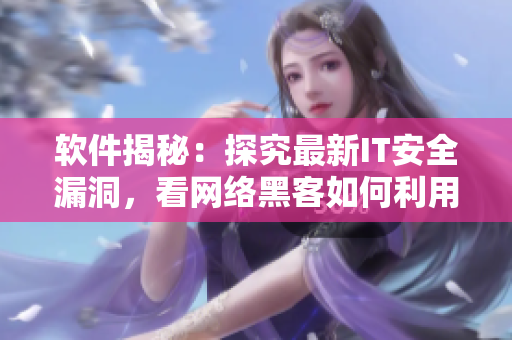 软件揭秘：探究最新IT安全漏洞，看网络黑客如何利用