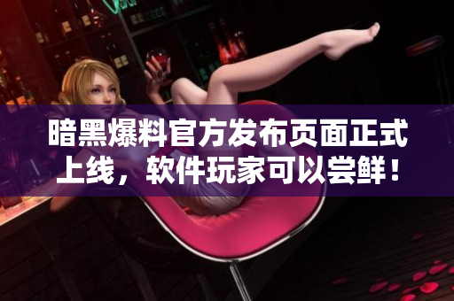 暗黑爆料官方发布页面正式上线，软件玩家可以尝鲜！