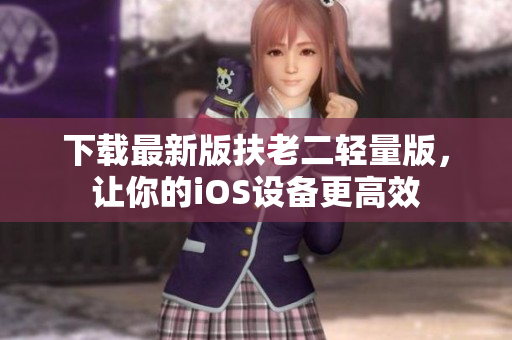 下载最新版扶老二轻量版，让你的iOS设备更高效