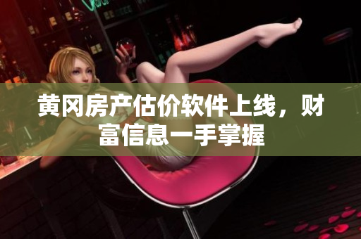 黄冈房产估价软件上线，财富信息一手掌握