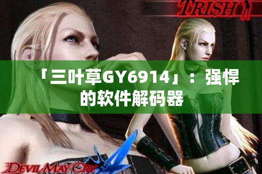「三叶草GY6914」：强悍的软件解码器